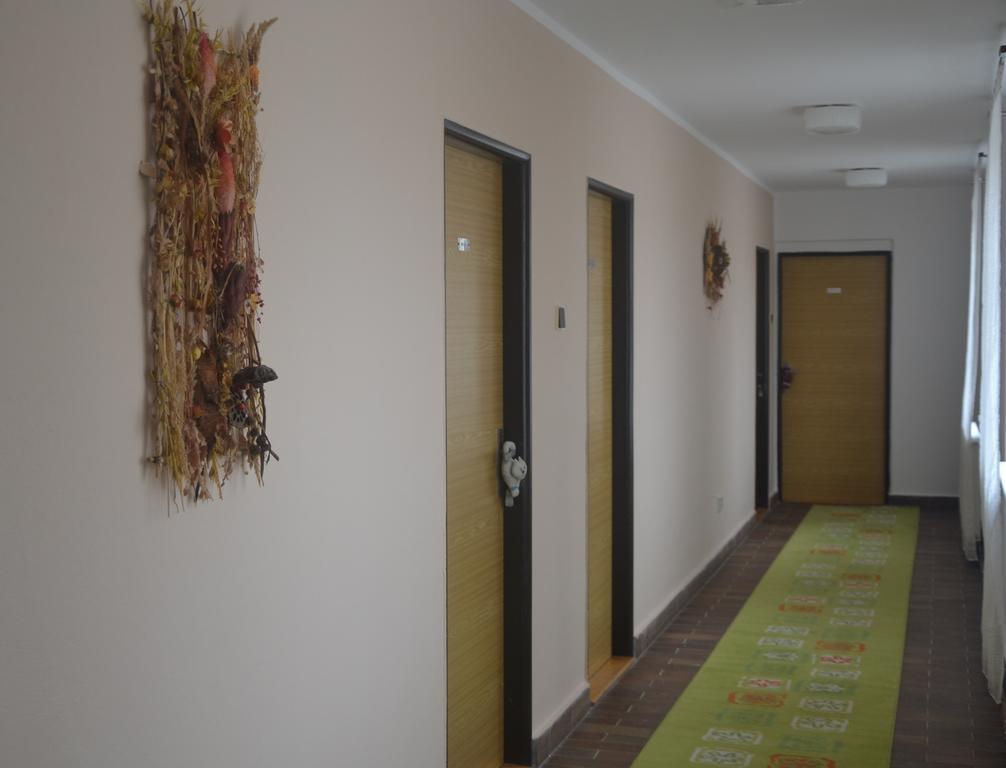 Penzion Nova Stitary Kültér fotó